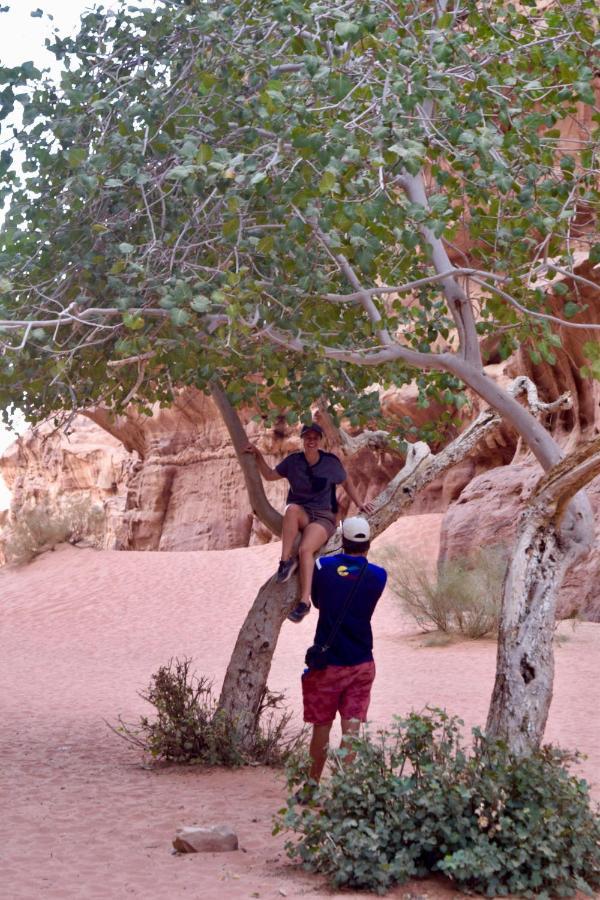 Hotel Nature Star Camp Wadi Rum Zewnętrze zdjęcie